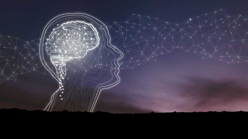Rajeunir le cerveau - atelier des ames Catalina Boncilica Paris optim